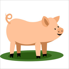 Vector illustration of a cute mini pig in cartoon style isolated on white background.