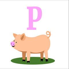 illustration of a cute mini pig in cartoon style isolated on white background.