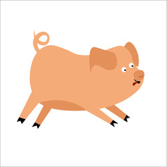 Vector illustration of a cute mini pig in cartoon style isolated on white background.