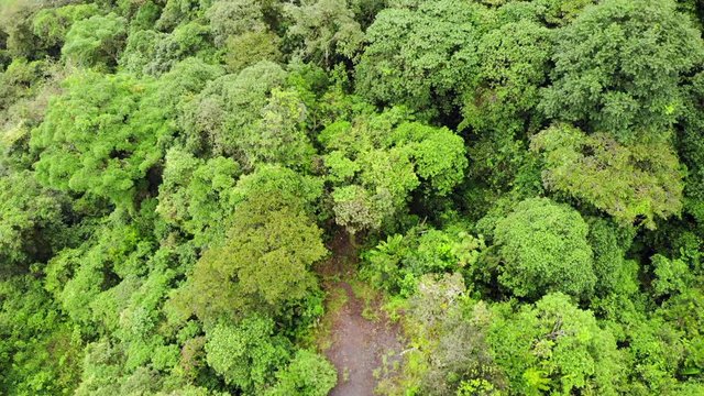 Flying over montane rainforest and a dirt road leading into it. New roads bring  colonists, cattle ranchers into the rainforest. In the Rio Quijos Valley, the Ecuadorian Amazon.