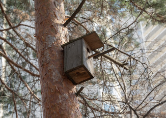 Birdhouse on a tree against the background of a apartment building