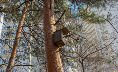Birdhouse on a tree against the background of a apartment building
