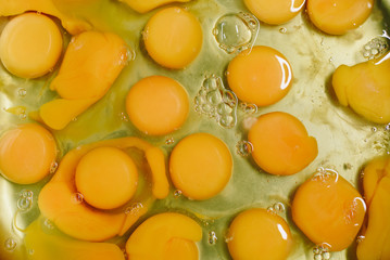 Lots of chicken egg yolks and whites prepared for cooking