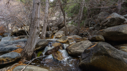 Sequoia National Park 
