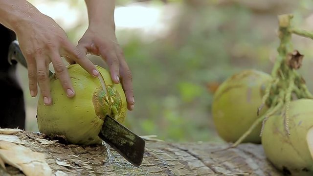 The process of peeling and chopping a green coconut in order to retrieve its milk with a traditional machete.