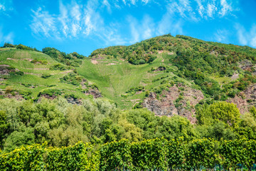 Fototapeta na wymiar Steep mountain slope with wine growing