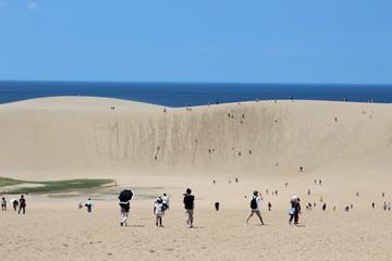 青空の元の鳥取砂丘　tottori sand dune　国立公園