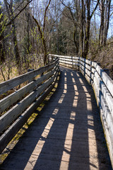 Well maintained raised boardwalk trail through woods on a sunny day