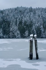A snowfall in Victoria BC left Gowland Todd Park and Inlet in a snowy, frozen state.  Trails and trees were covered in freshly fallen snow. 