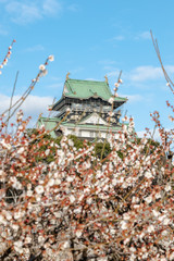大阪城天守閣と梅林