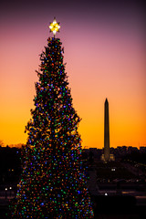 "The People's Tree" stands tall in front of the US Capitol Building in Washington, DC. It looks out over the National Mall, to the Washington Monument in the background.