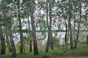 Fototapeta premium Spring high water on the Irtysh River
