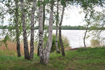 Obraz premium Spring high water on the Irtysh River