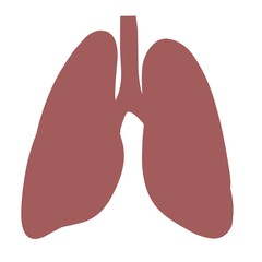 Fototapeta premium Simple design of illustration lungs 