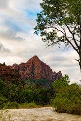 The Watchman mountain viewed from the Virgin River in Zion National Park, Utah.