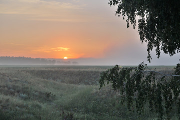 Obraz premium Morning in the field