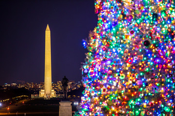 "The People's Tree" stands tall in front of the US Capitol Building in Washington, DC. It looks out over the National Mall, to the Washington Monument in the background.