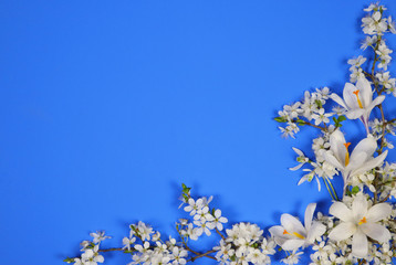 Fr&uuml;hlingsblumen Hintergrund