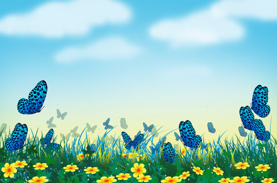 Beautiful blue butterflies with yellow flower field © athapet