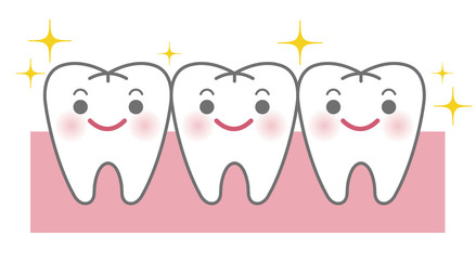 歯列矯正後のイメージ