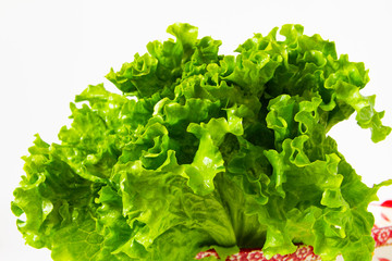 Fresh lettuce leaves white background close up