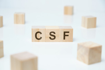 Modern business buzzword - csf - critical success factor. Word on wooden blocks on a white background.