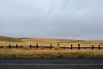 empty yellow farm land in the Pacific Northwest on an overcast day, separated from the main road by a wooden fence