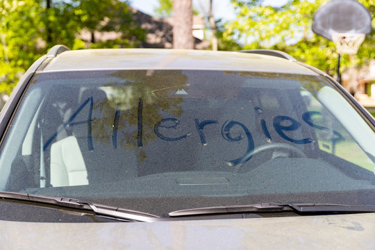 Pollen On Vehicle Windshield With The Word 