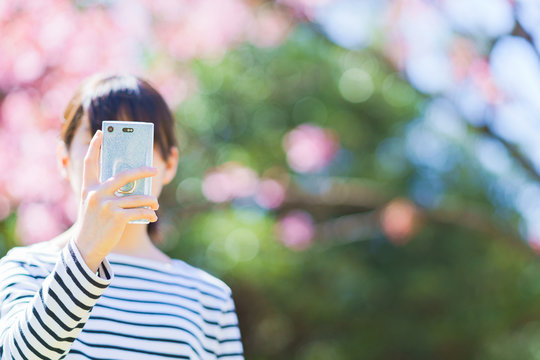 女子　女性　桜　サクラ　春　スマホ　撮る　SNS　シェア　共有　コミュニケーション　人物　日本人