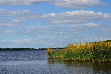 Fototapeta premium A wide view of the Myakka Rivers upper lake with the prairie growing right up to the water.rairied