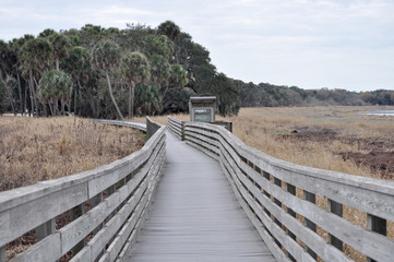Fototapeta na wymiar Access to the Myakka river environment is served by wooden boardwalks for visitor safety.