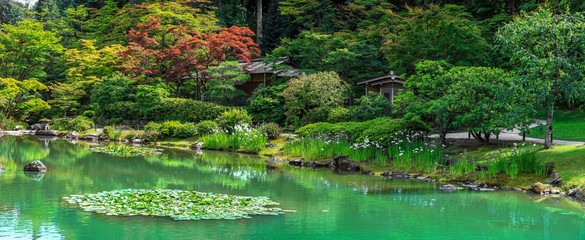 Fototapeta na wymiar Panoramic view of Japanese garden in Seattle Washington 