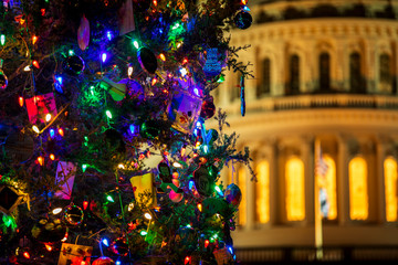 The United States Capitol Christmas Tree, otherwise known as "The People's Tree" shines bright in front of the US Capitol Building in Washington, DC. This is a shallow depth of field picture.
