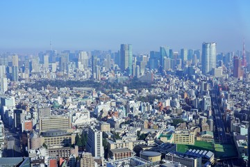 東京の都心眺望