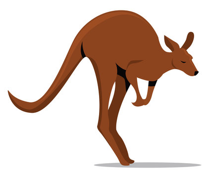 Kangaroo Jumping, Illustration, Vector On White Background