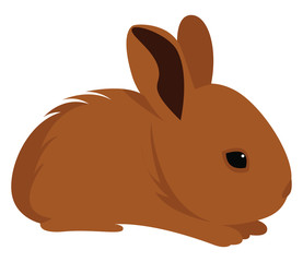 Little brown rabbit, illustration, vector on white background © Morphart