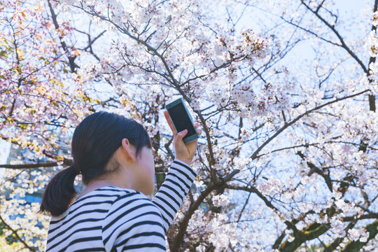 Japanese girl take photo for sharing SNS by using smart phone in Japan