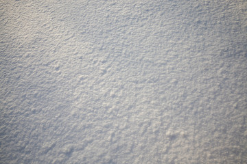 surface of the snow