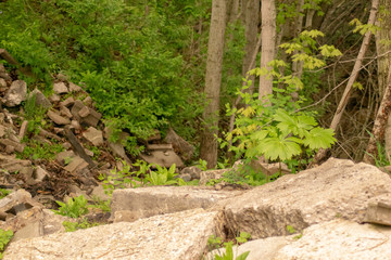 Meeting of the minds