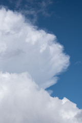 Puffy white clouds on a blue-sky day, as a nature background