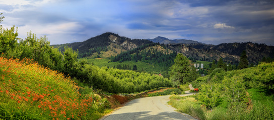 Fototapeta na wymiar Panoramic view of winery near Leavenworth,Washington