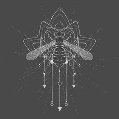 Vector illustration with hand drawn Wasp and Sacred geometric symbol on black background. 