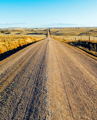 Fototapeta na wymiar Dirt Road in Pawnee National Grassland, Colorado