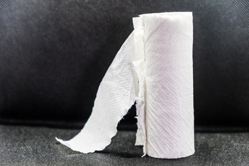 A roll of used toilet paper