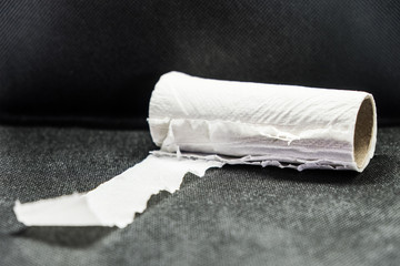 A roll of used toilet paper