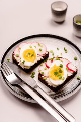 Savory smorrebrod, two traditional Danish open sandwiches. Black rye bread with radish, eggs, cream cheese and green onion on a plate on grey concrete background. Selective focus