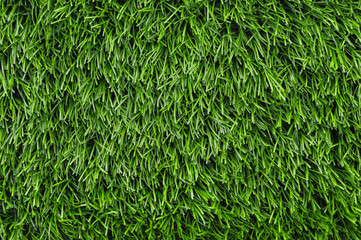 Green grass lawn, top view. Natural background, copy space.