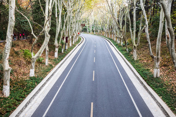 Autumn road in Nanjing, China