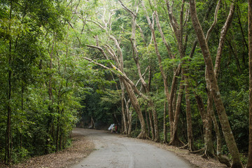 A walkway down to Chan Ta Then Waterfall, a small waterfall on Khao Kheaw in Sriracha District, Chonburi Province, Thailand.