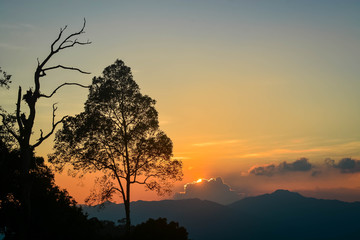 Trees on the Panoen Thung Mountains Thailand has a backdrop of sunsets.